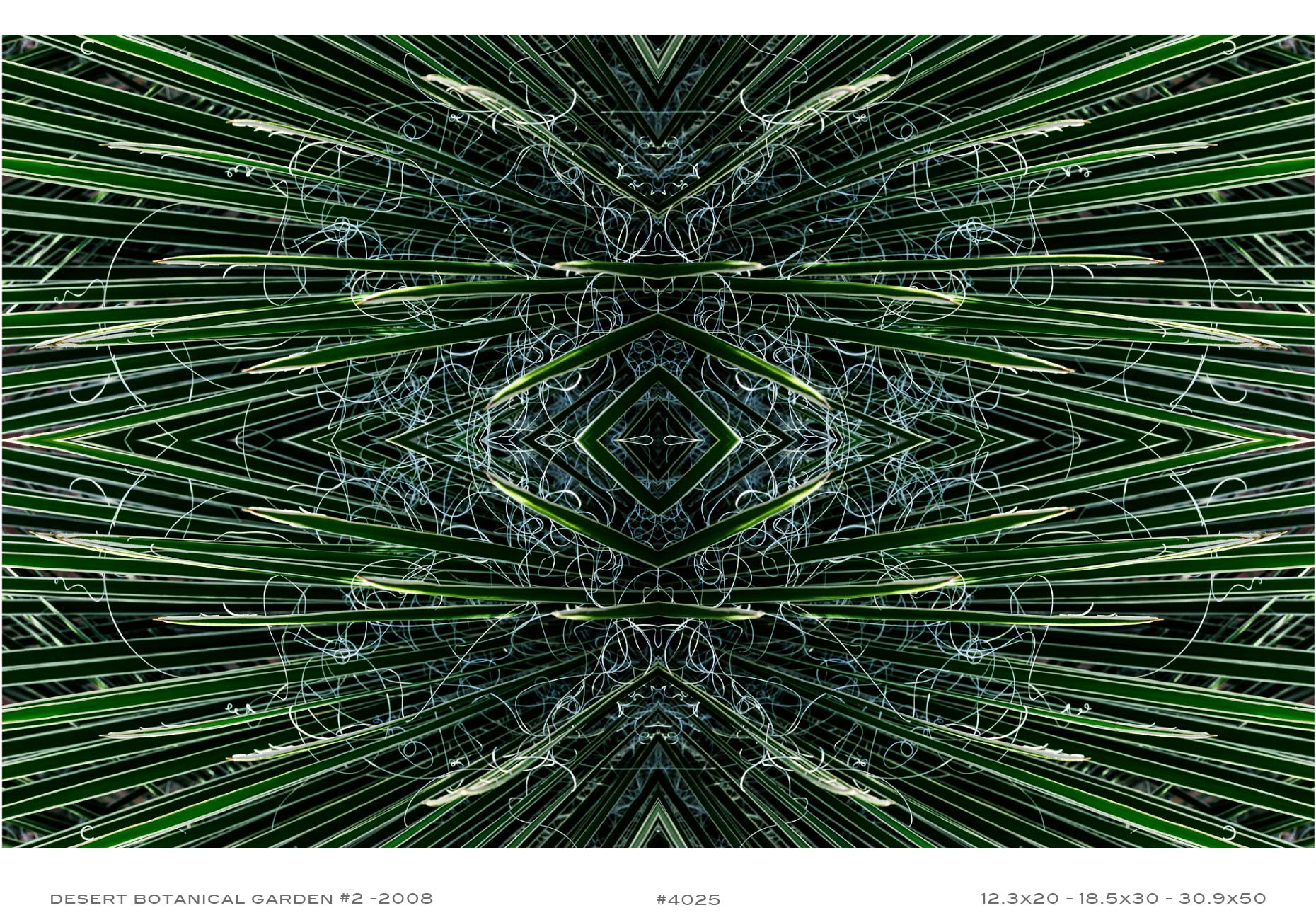 APF-Desert-Botanical-2-4025