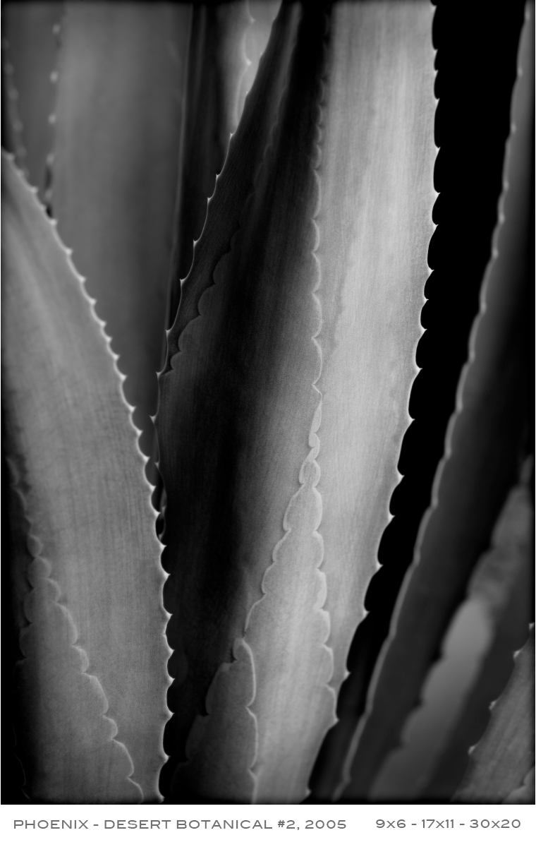 APF-Desert-Botanical-2