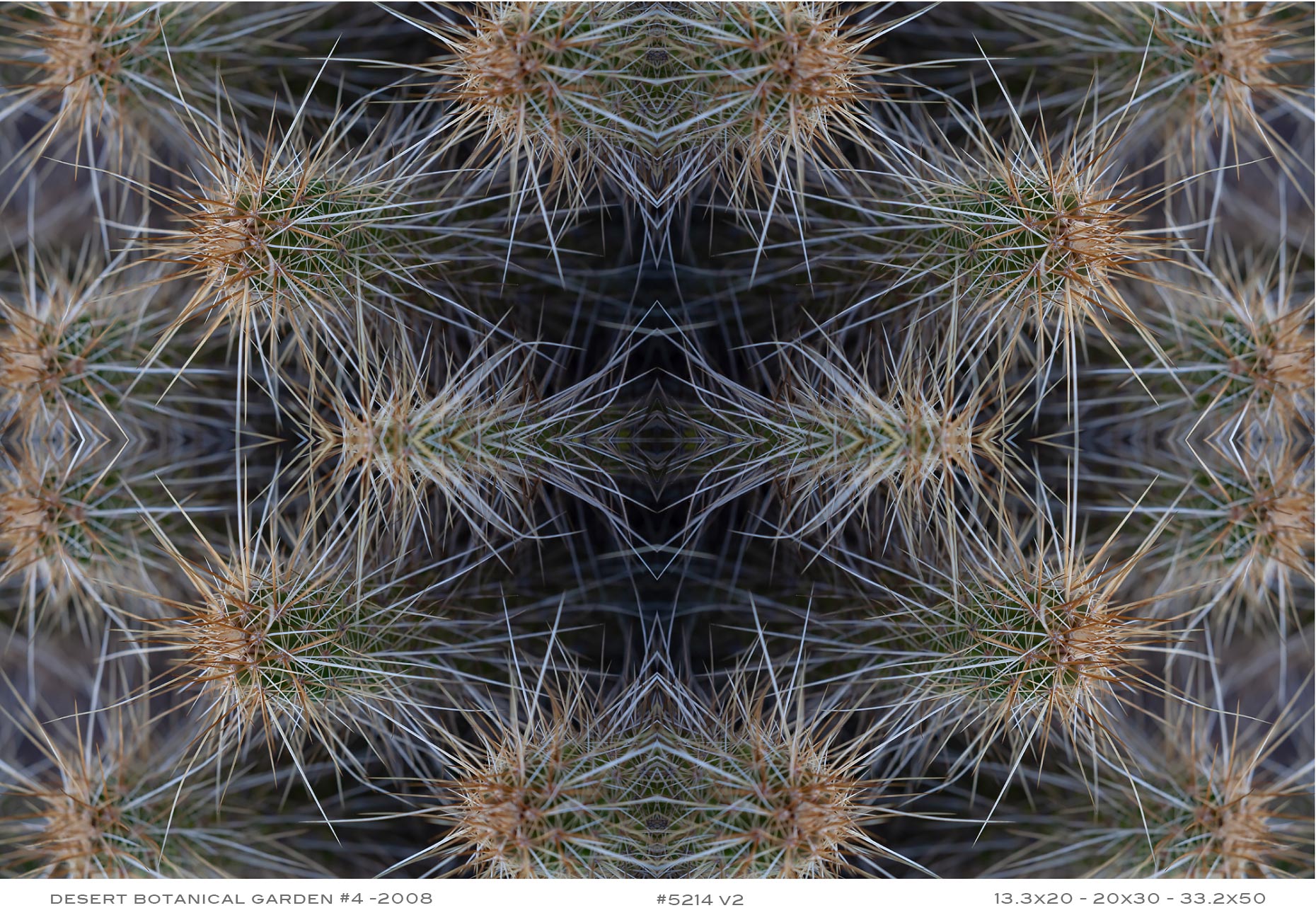 APF-Desert-Botanical4---5214v2