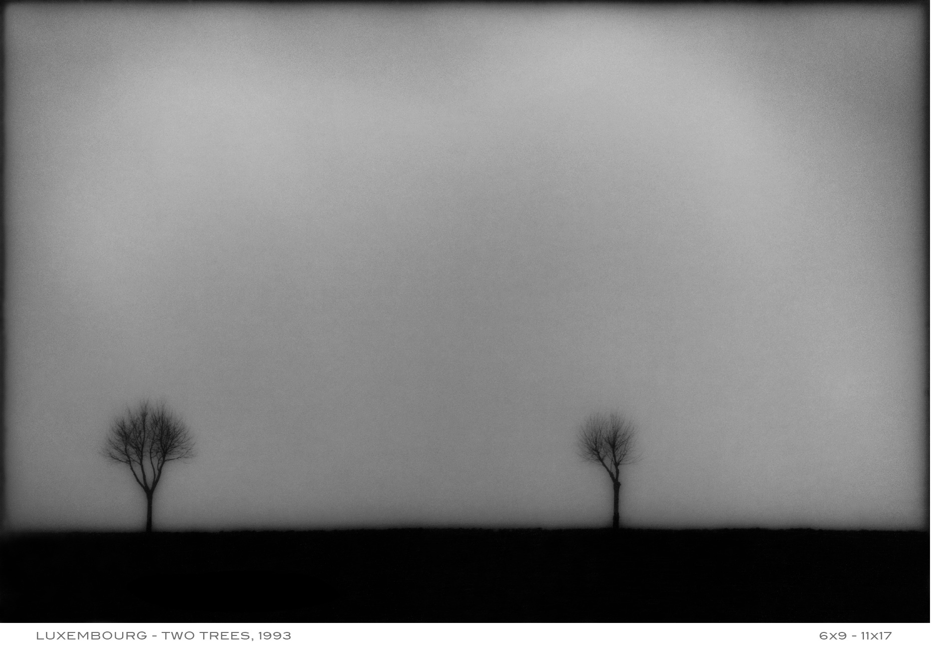 APF-Luxembourg-Two-Trees