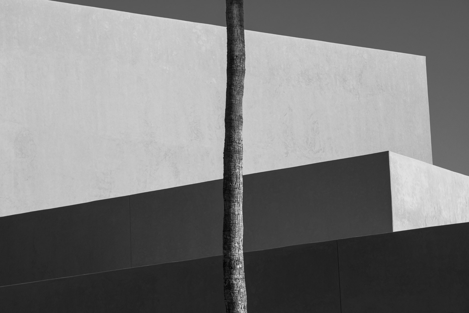 APF_20A6848